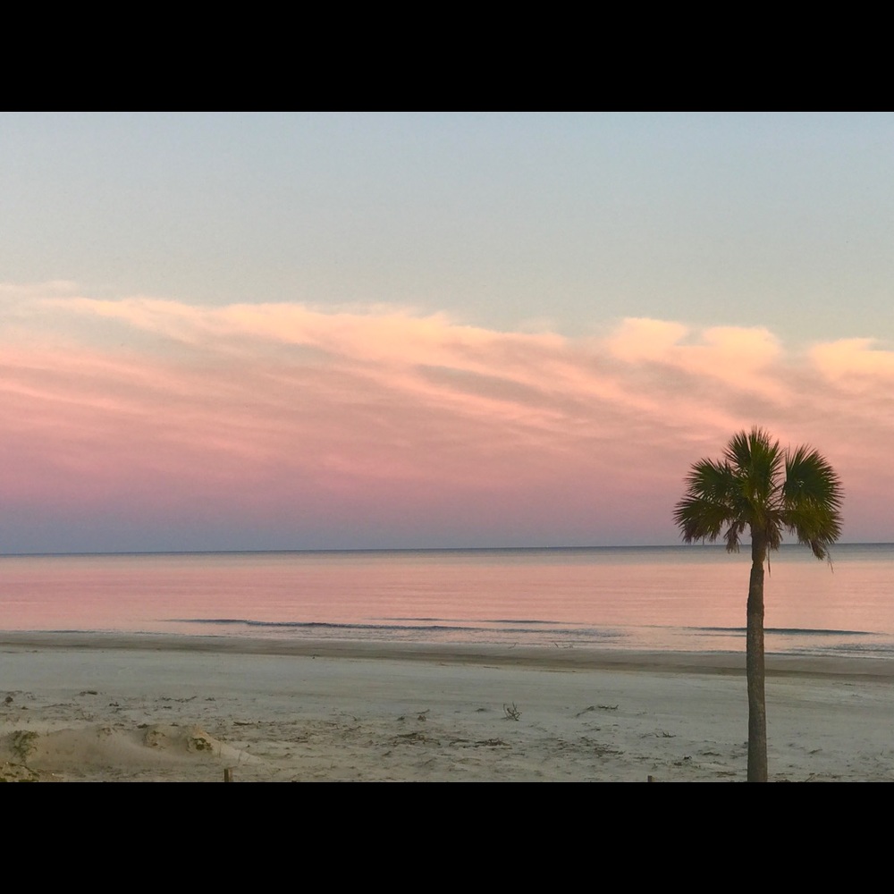 Meet your Posher, Terri